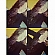 Ursinha do Luke