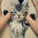 Meeru