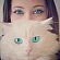White Cat