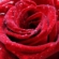 Aninha